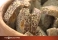 Здравый хлеб и квас на ярмарке hand-made