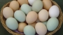 Цветные фаршированные яйца