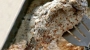 Карп запеченный с квашеной капустой и рисом