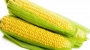 Початки кукурузы с пряным маслом